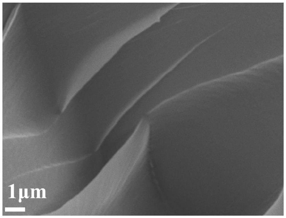 A kind of preparation method of electric insulation material that suppresses flashover voltage reduction