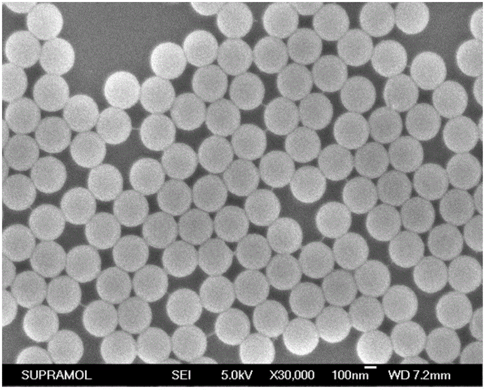 Polymer hydrogel microspheres and preparation method thereof