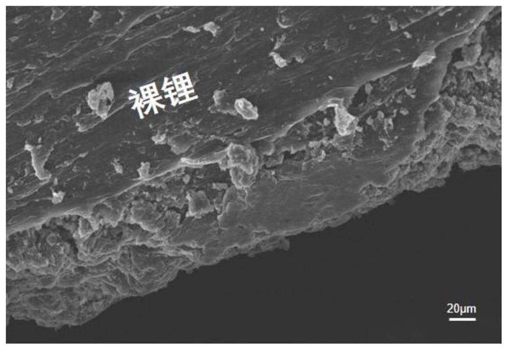 Preparation and application of lithium polymethylallyl sulfonate for lithium battery negative electrode protection