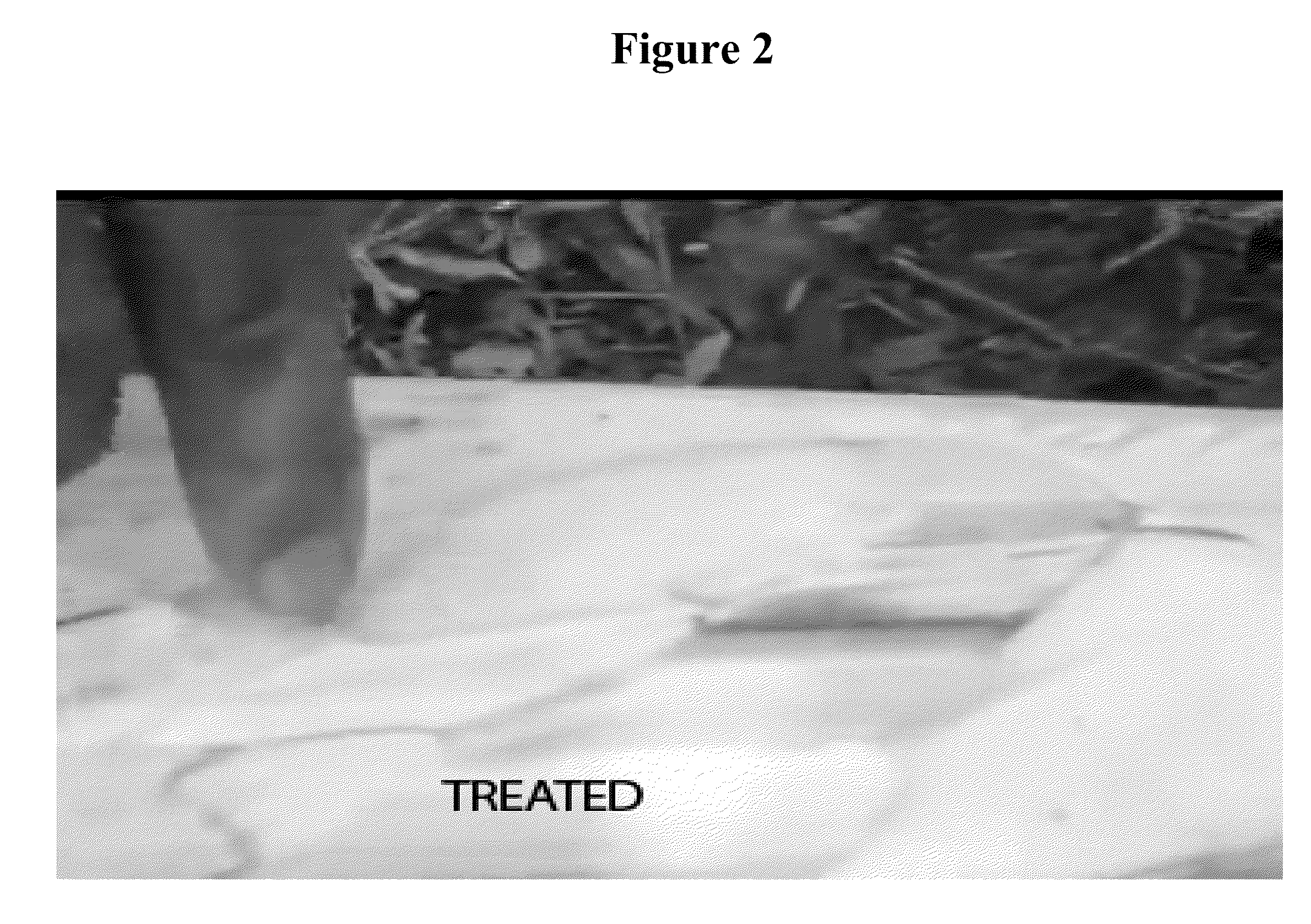 Bio-derived compositions for use in agricultural and environmental remediation