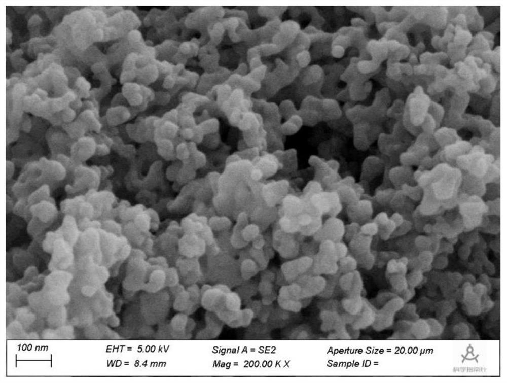 Carbon material coated nickel nanoparticle catalyst as well as preparation method and application thereof