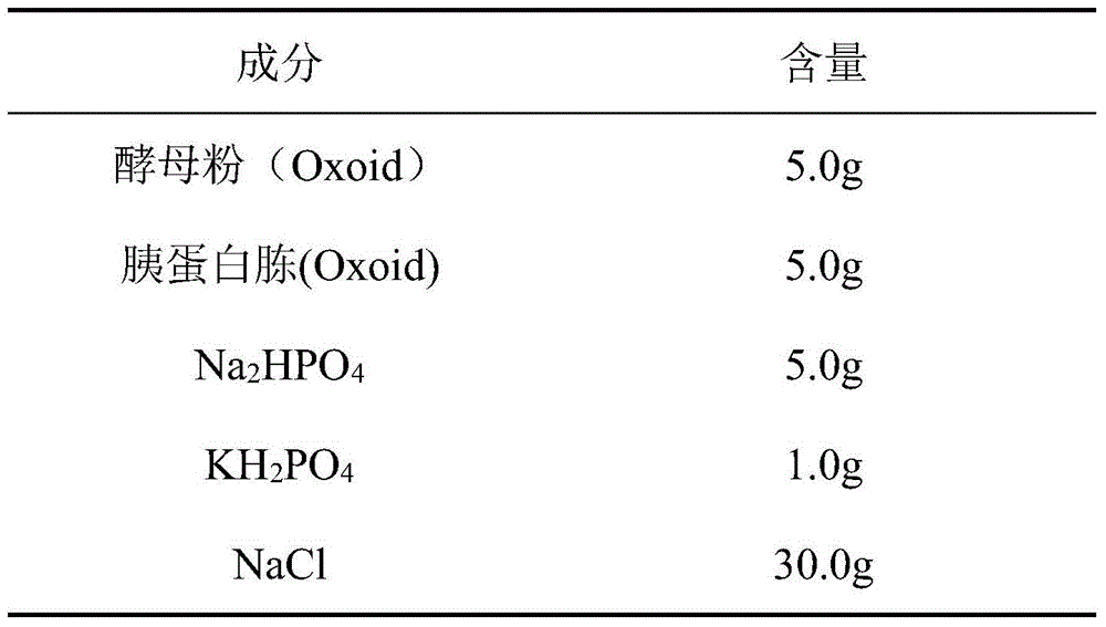 Lyophilized powder of Photobacter lumina and preparation method thereof