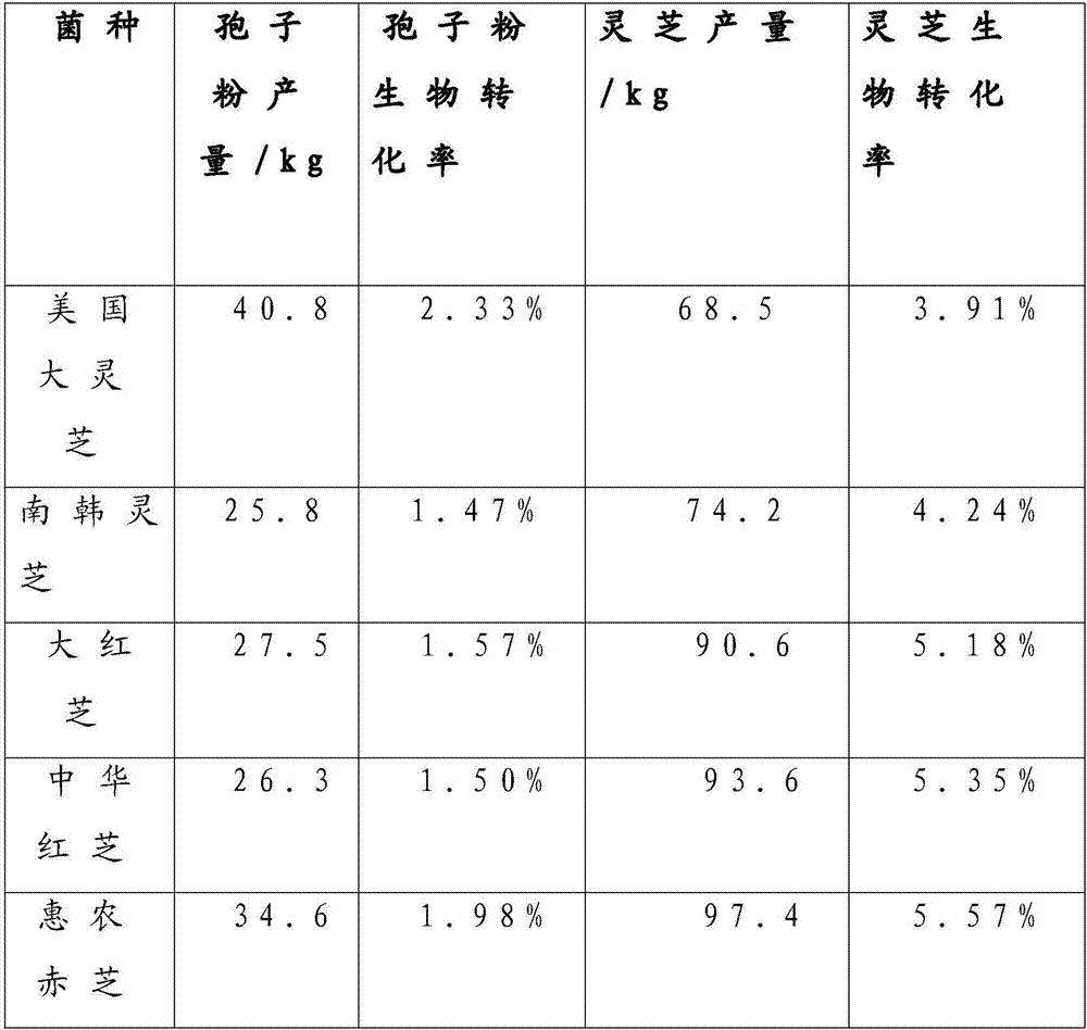 Factory organic production method of lucid ganoderma