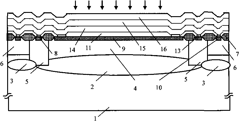 Silicon-based photoelectric detector for photoelectric monolithic integration and preparation method thereof