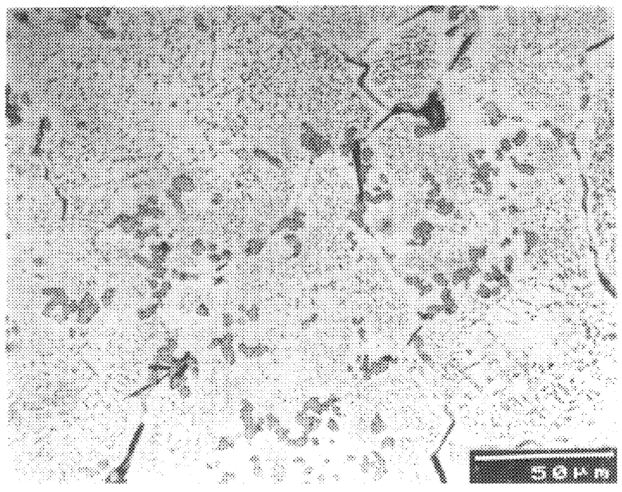 Liquid-state-in-situ-formed ceramic particles in metals and alloys