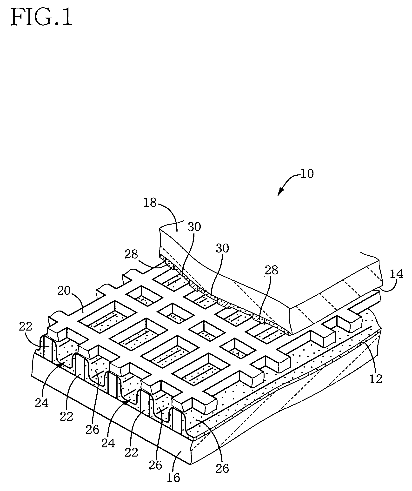 Gas-discharge display device and its manufacturing method