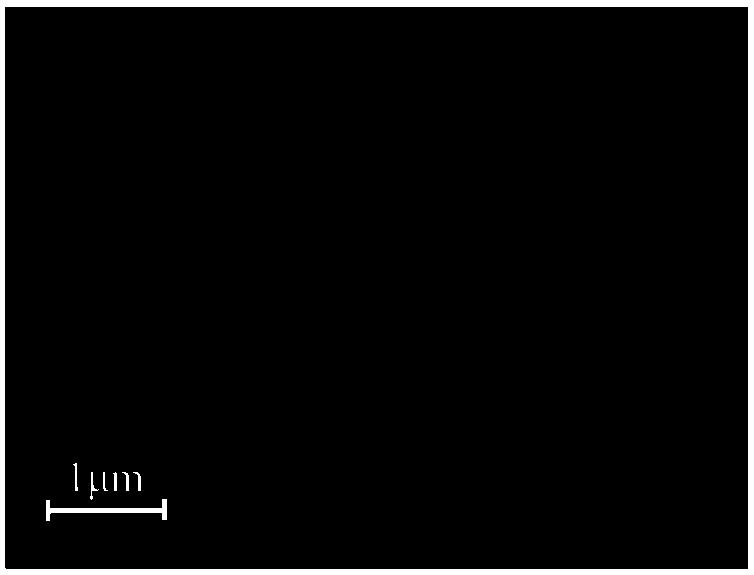 Method for Removing Antibiotics from Water Using Copper Sulfide/Bismuth Vanadate Heterojunction Photocatalyst