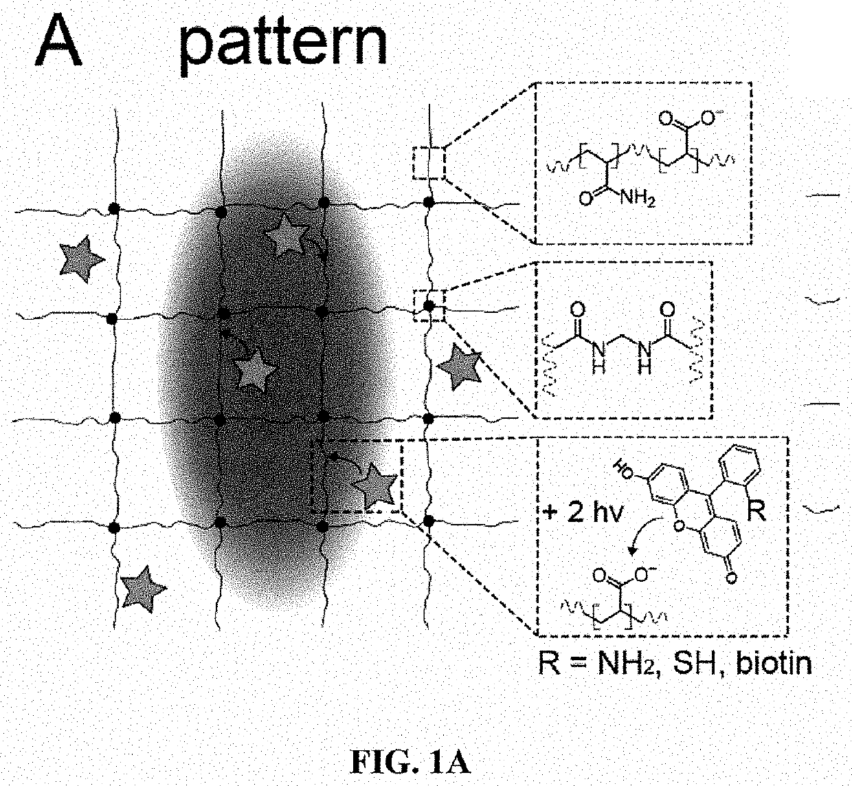 Three-dimensional nanofabrication by patterning of hydrogels