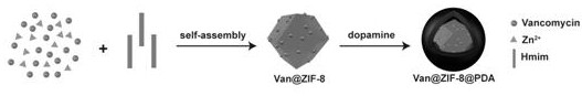 Preparation method and application of zinc organic framework composite material for photoresponsively releasing vancomycin