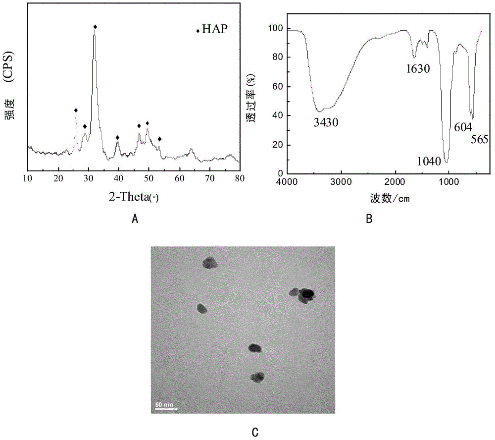 Hydroxyapatite nanoparticle with antitumor activity, preparation method and application thereof