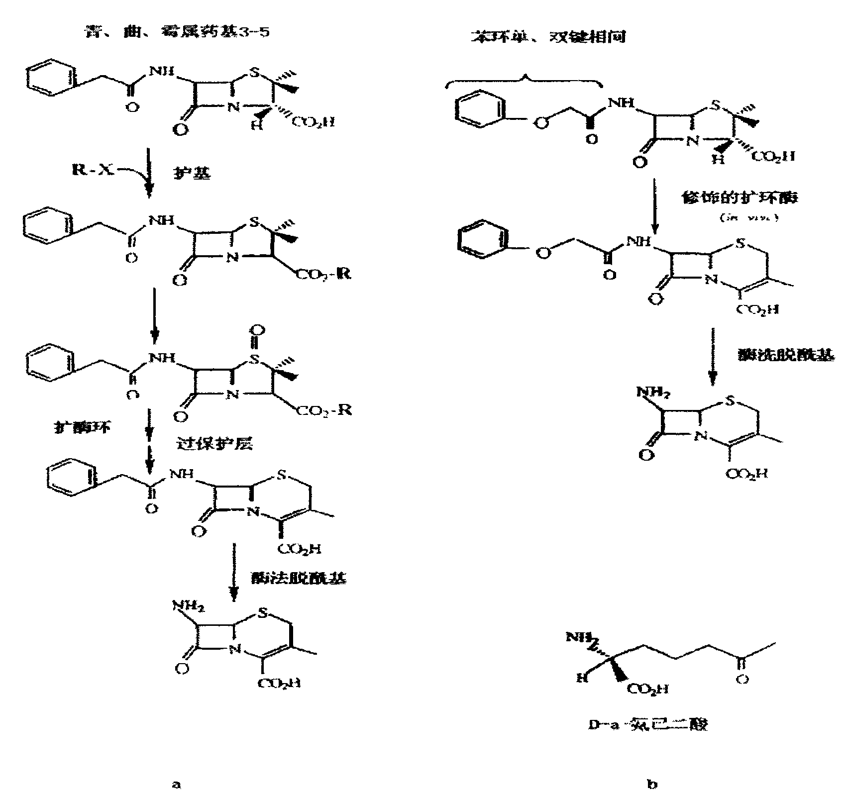 Novel nano mildew-proof medicament