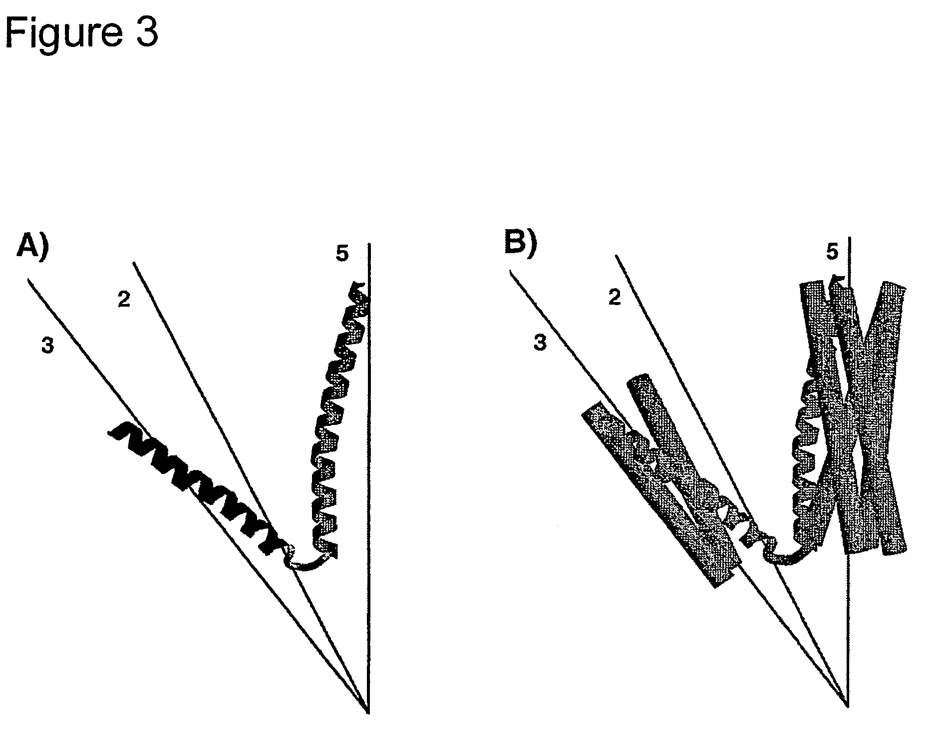 Peptidic nanoparticles as drug delivery and antigen display systems