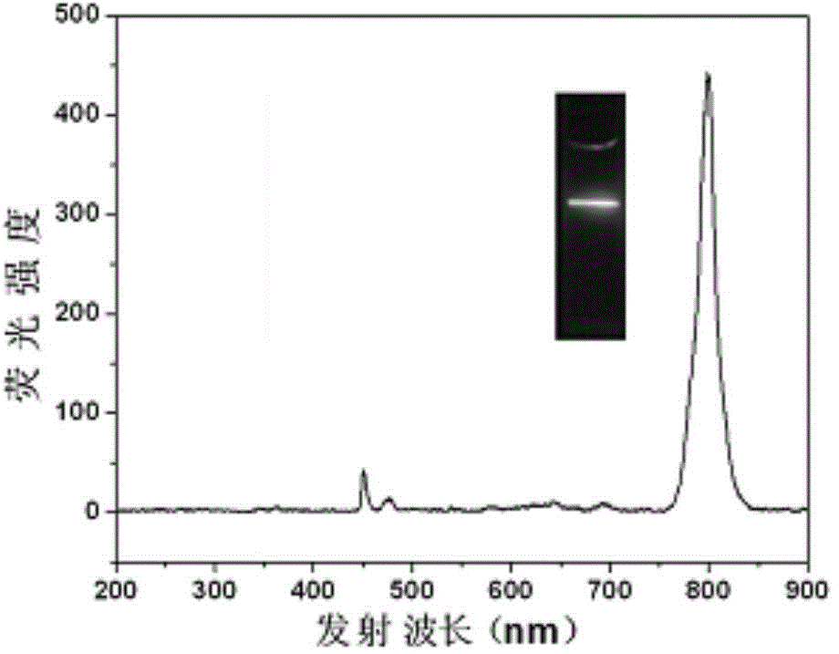 Method for preparing nanoparticle dual-mode fluorescent probe by virtue of co-assembly technology