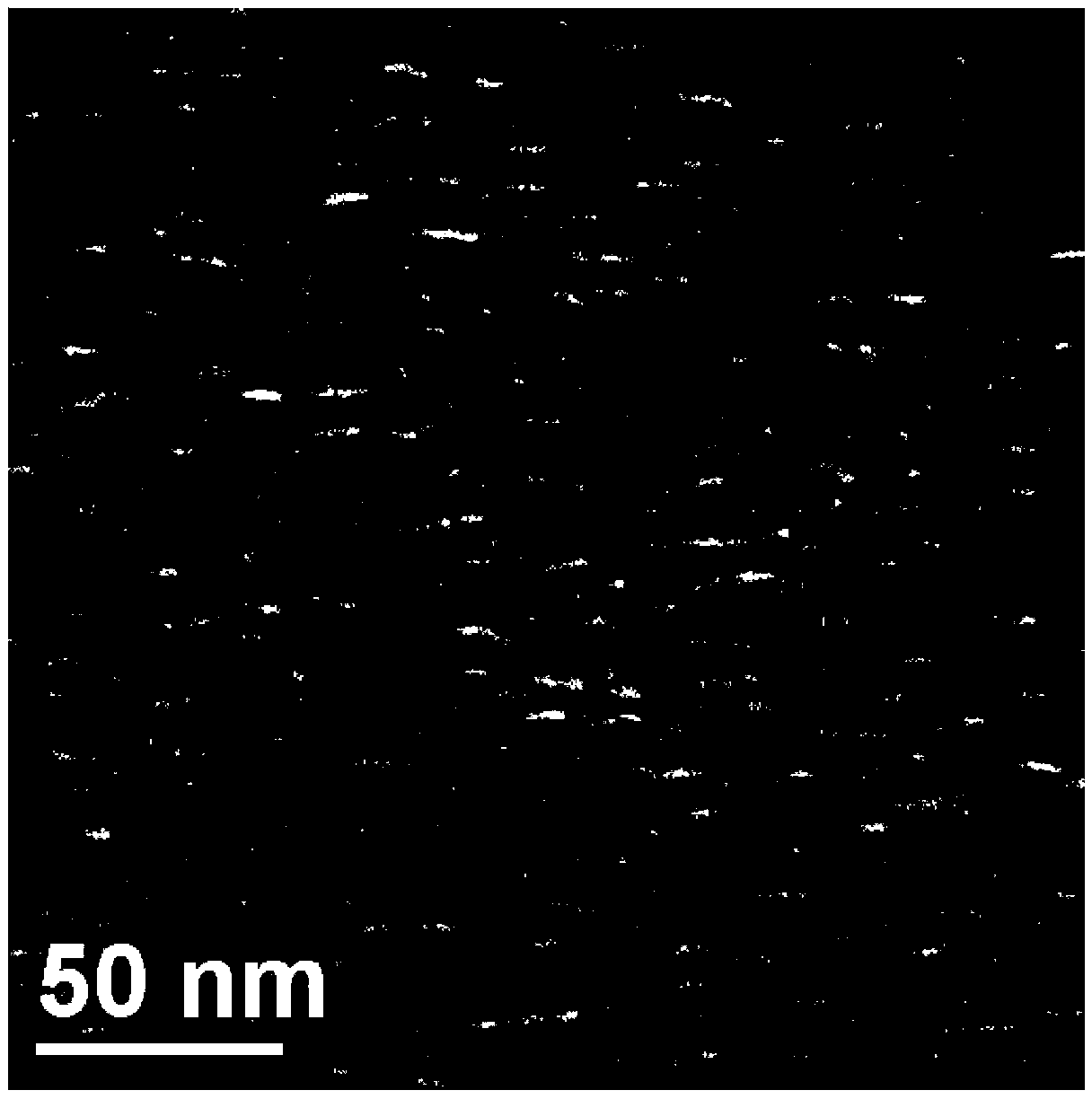 Collagen-g-polymer/Ag multi-hole nano antibacterial film material and preparation method thereof