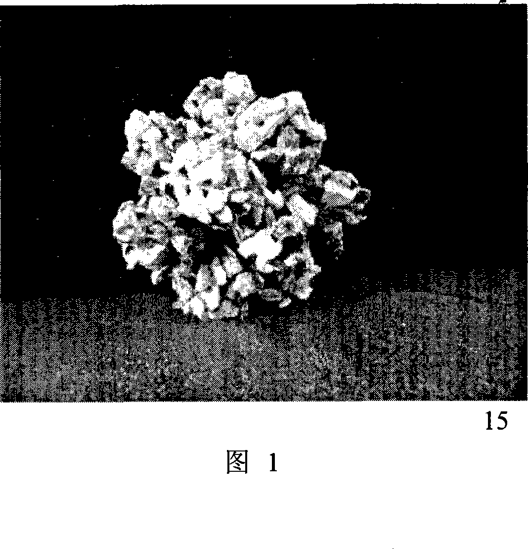 Sludge decrement type biomembrane piled ball packing, preparation method and application