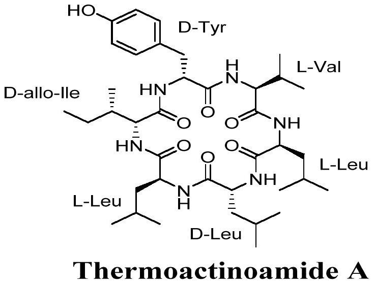 A kind of synthetic method of antibacterial activity cyclic hexapeptide thermoactinoamide A