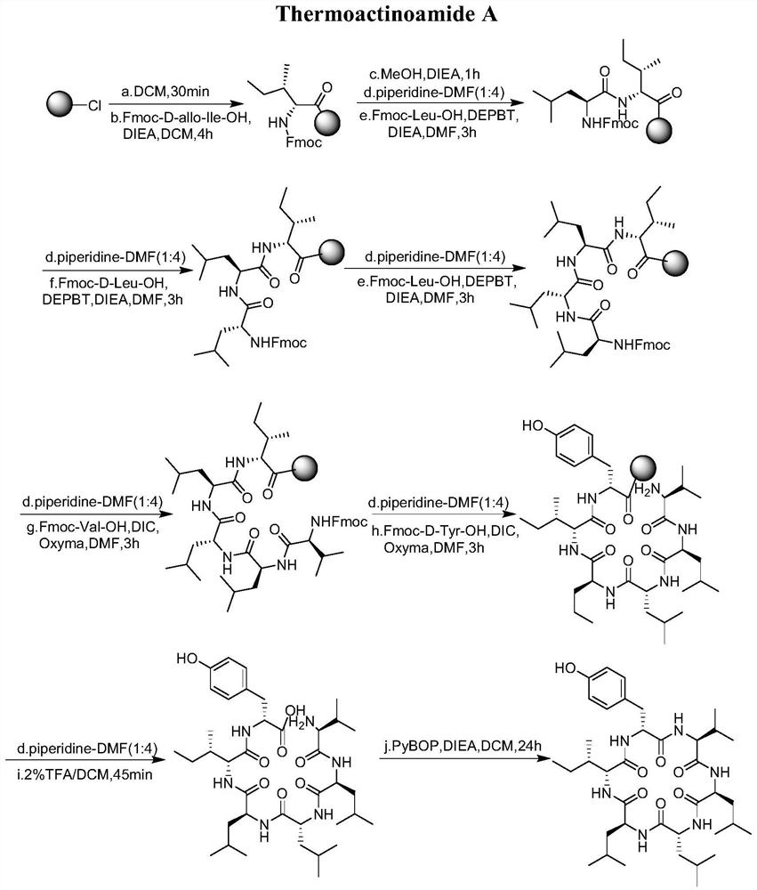 A kind of synthetic method of antibacterial activity cyclic hexapeptide thermoactinoamide A