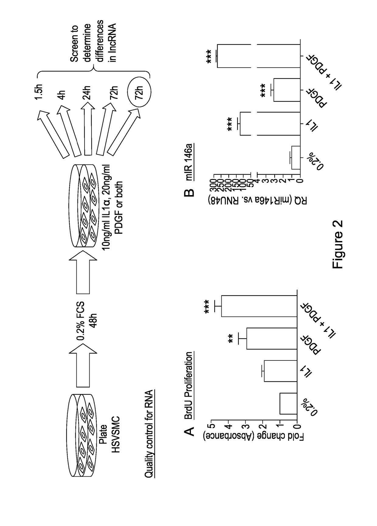 Materials and methods for the treatment of vascular disease