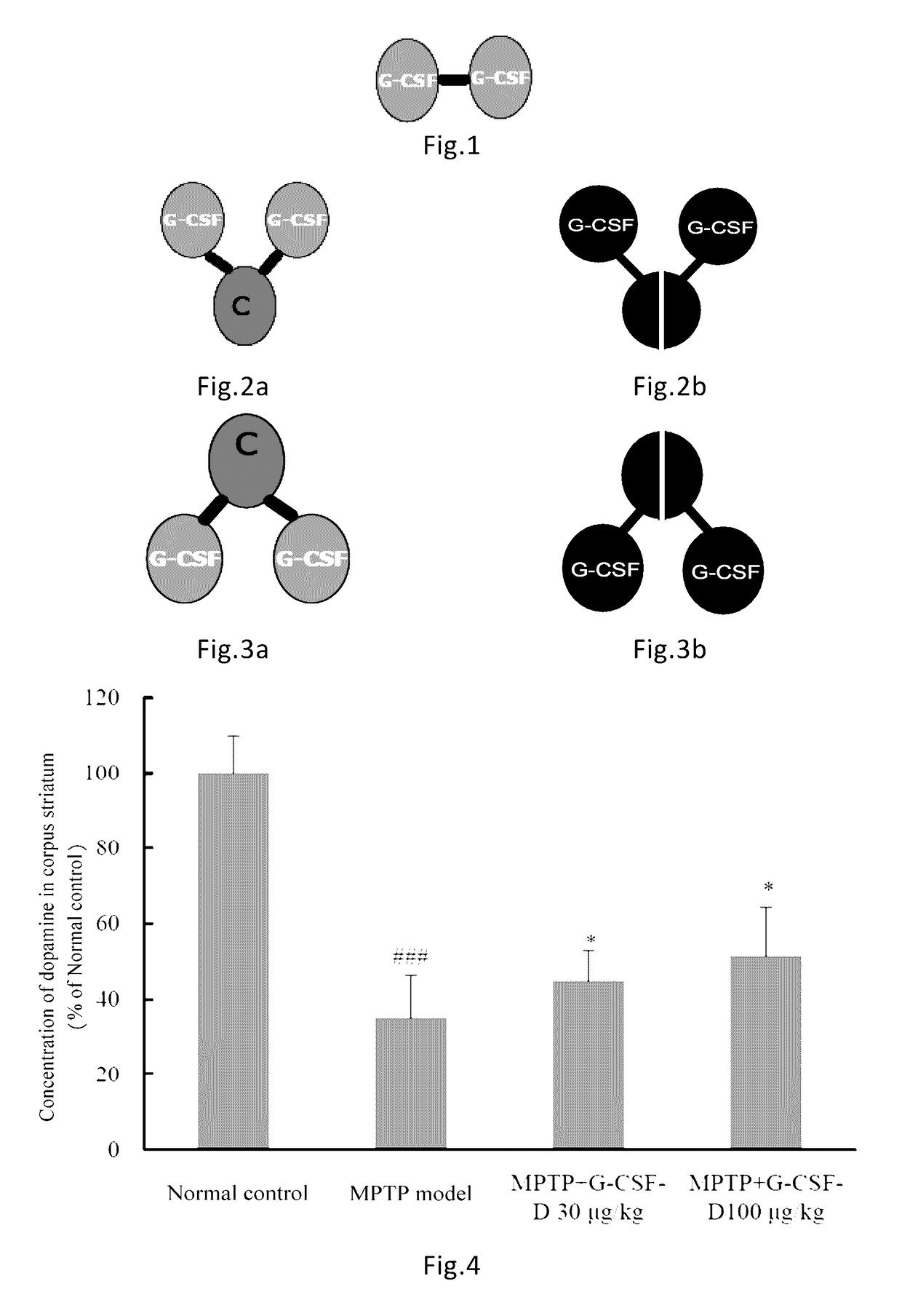 Use of G-CSF dimer in preparation of medicament for treatment of neurodegenerative diseases