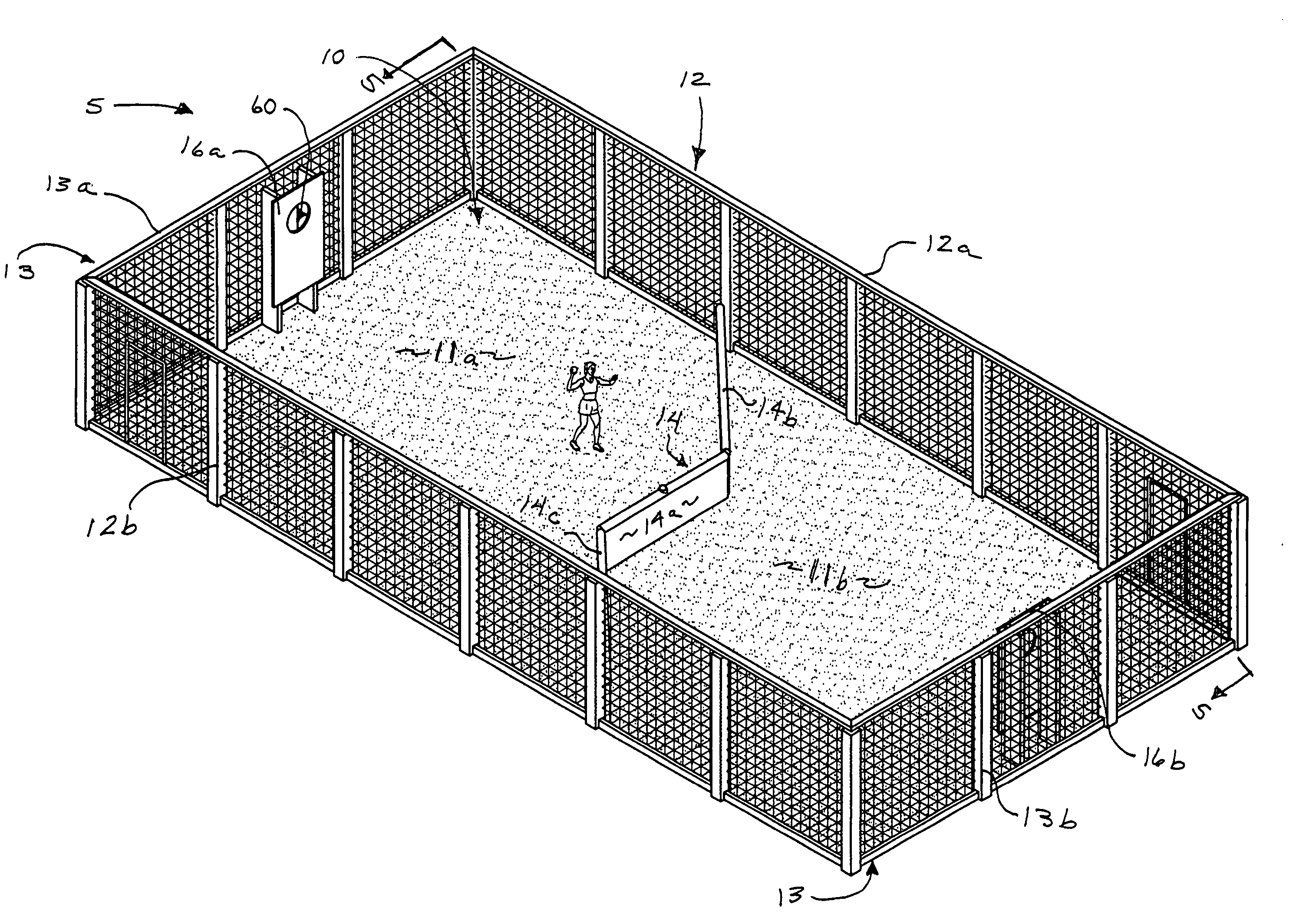 Apparatus and method for a court ball game