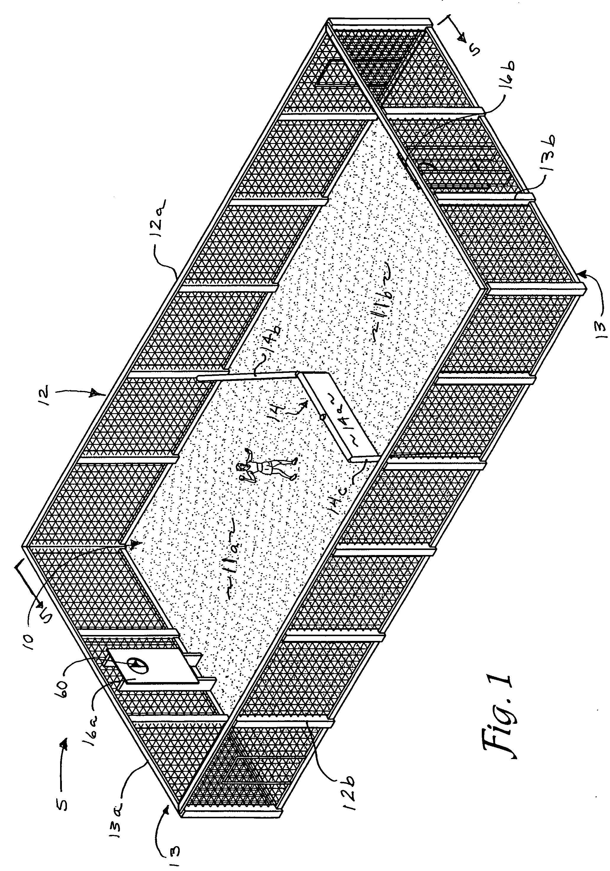 Apparatus and method for a court ball game
