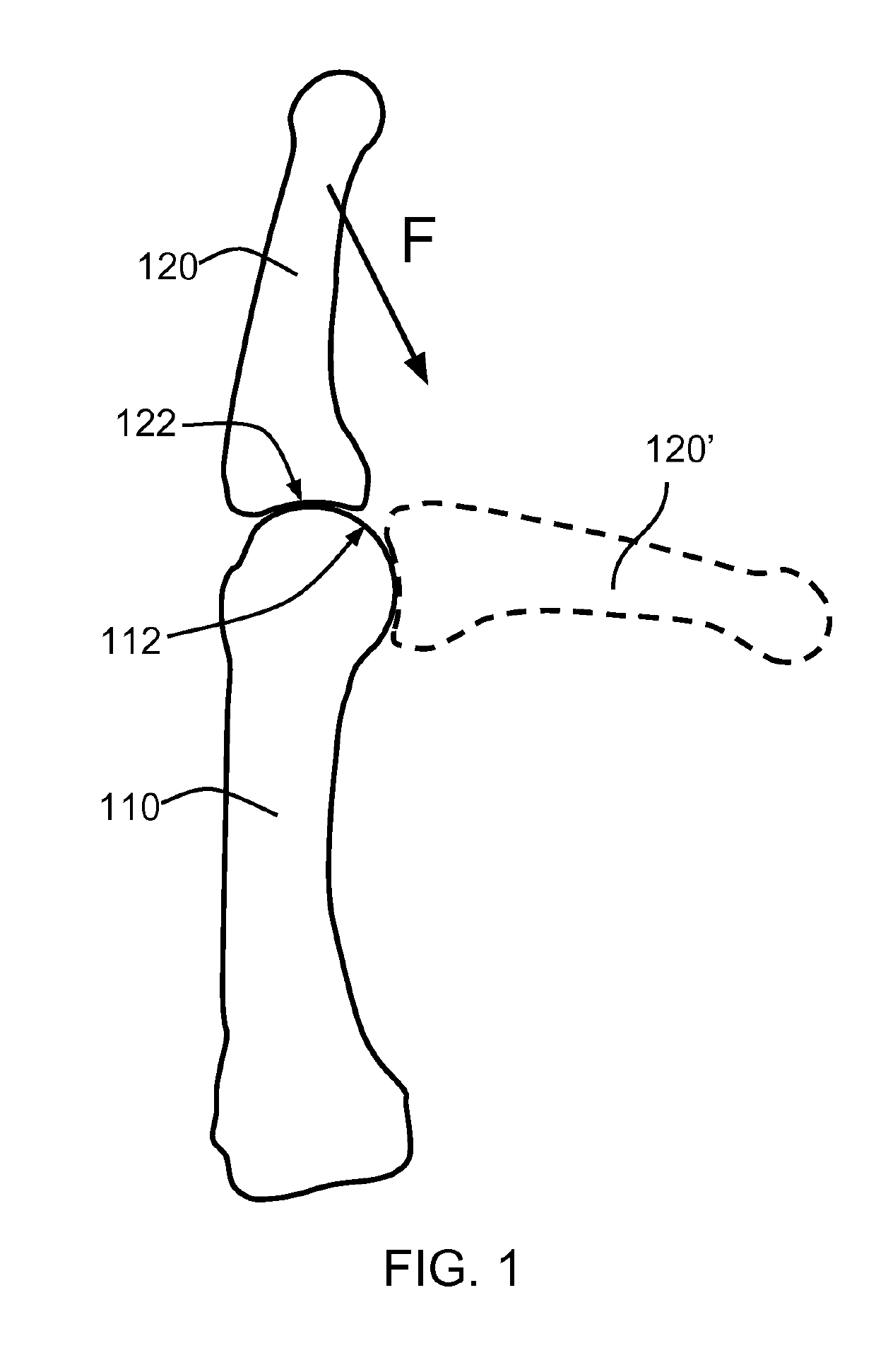 Anatomical robot