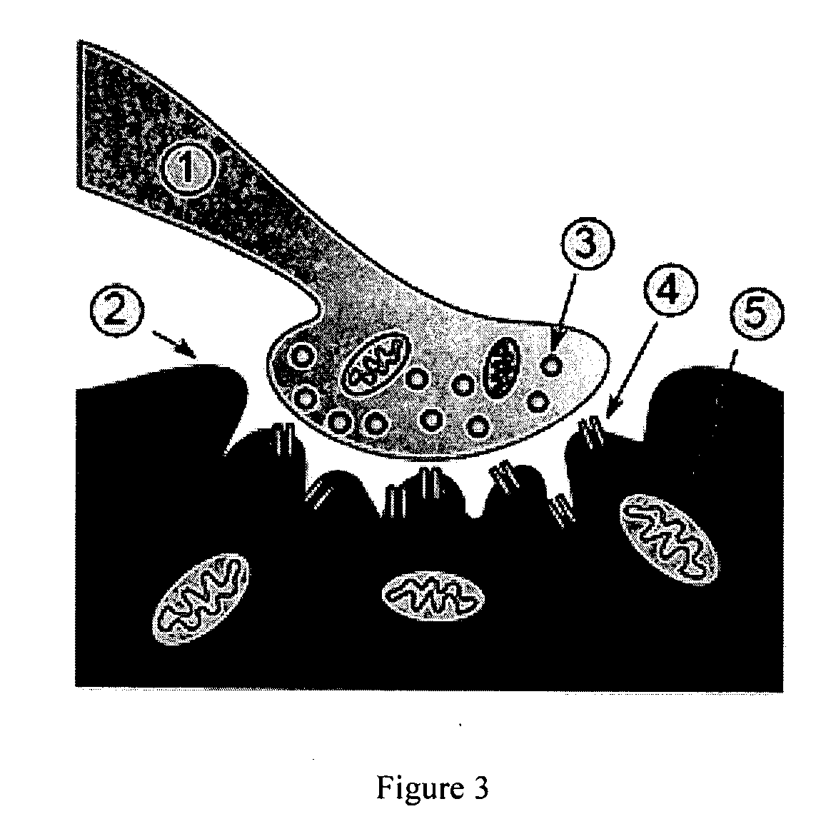 Method and system for effecting changes in pigmented tissue