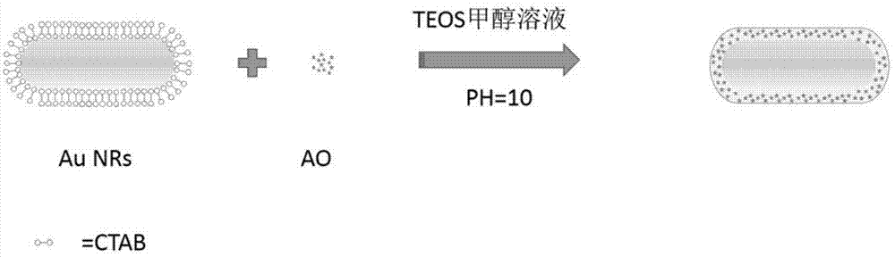 Nanometer golden rod used for detecting bovine serum albumin and preparation method and application thereof