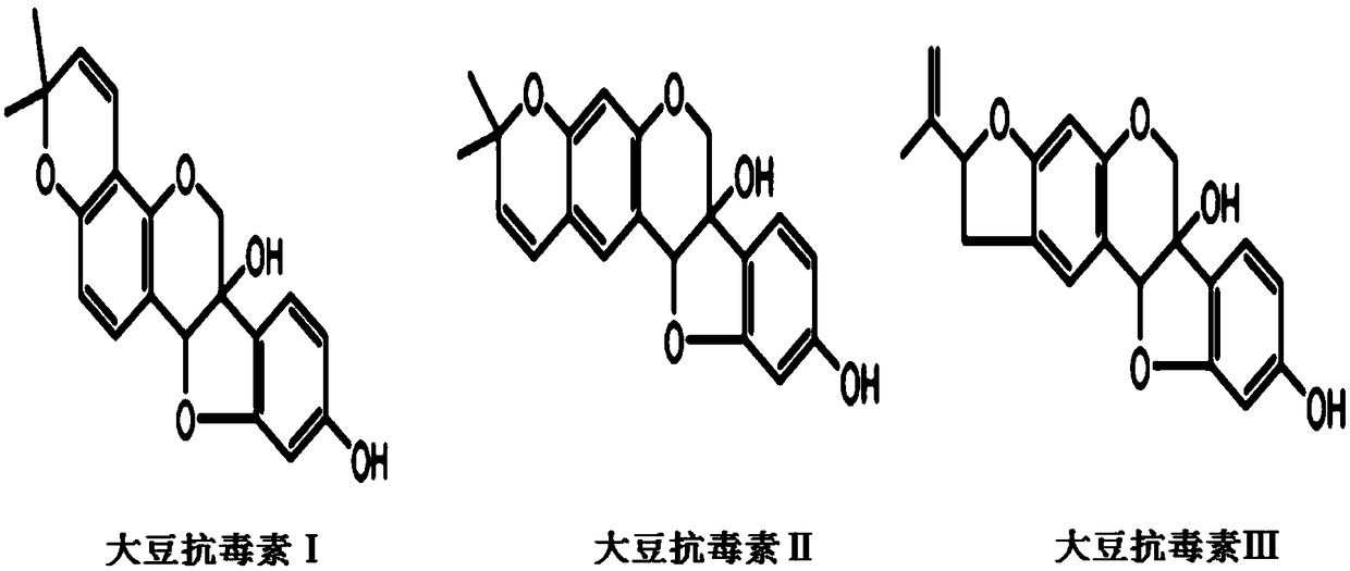 Bacillus Amyloliquefaciens Inducing Glycine Max To Generate Glyceollin ...