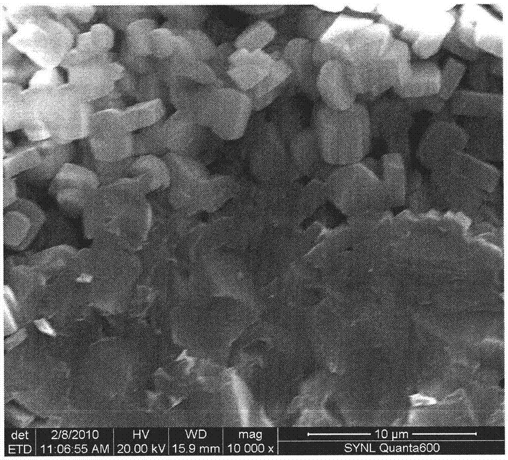 High intercrystal poriness zeolite coating material on surface of porous silicon carbide carrier and preparation method thereof