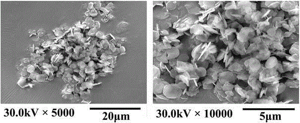 A kind of round aluminum phosphate/thermosetting resin composite material and preparation method thereof