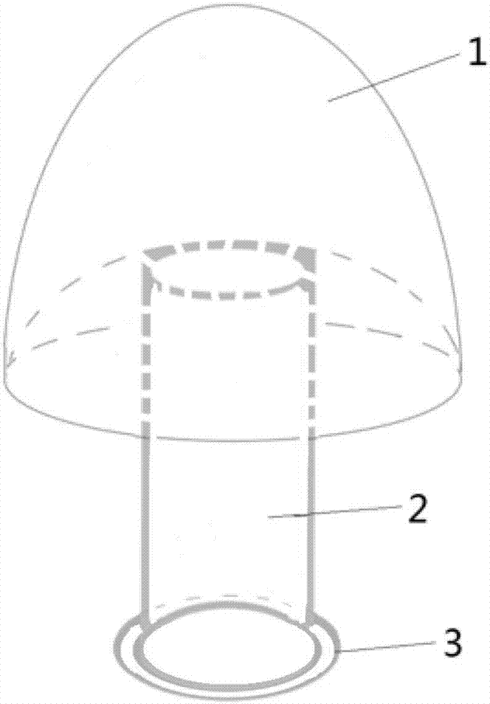 Integrated lacrimation retarder and matched placing device thereof