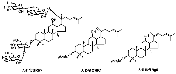 Extraction method and application of ginsenoside Rg5 and ginsenoside Rg1