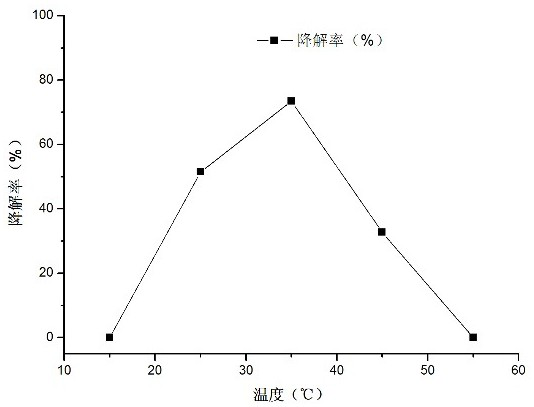 Long-chain alkane degrading bacterium and application thereof