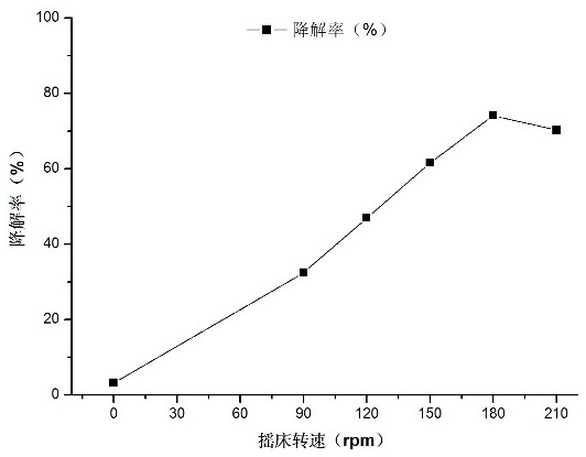 Long-chain alkane degrading bacterium and application thereof