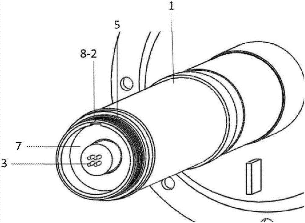 A split type transmission electron microscope sample holder