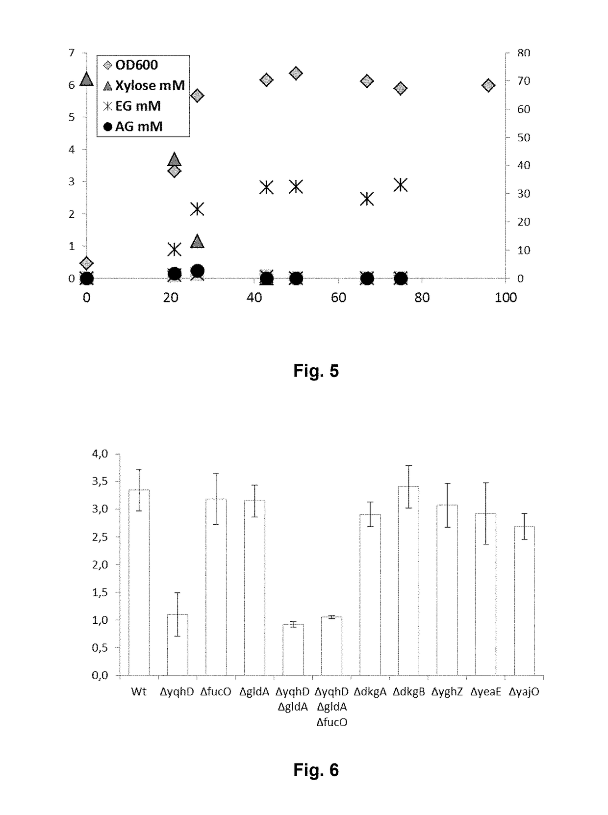 Process for producing at least one metabolite of interest by conversion of a pentose in a microorganism