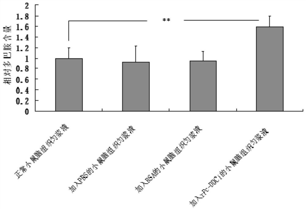 A dopa decarboxylase homologue with strong catalytic activity and its preparation and application