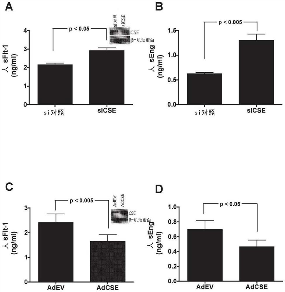 Hydrogen sulphide compounds capable of stimulating h2s production in a pregnant subject