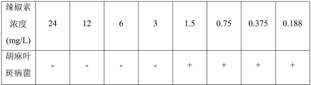 Method for treating rice brown spot disease on basis of capsaicin