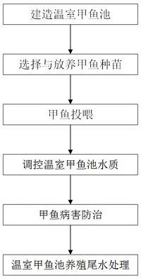 A kind of greenhouse turtle culture method