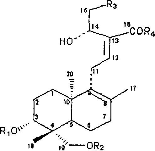 Sulfonated derivative of andrographolide and combination of medication