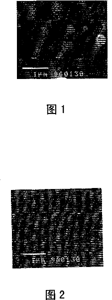 Film resistor structure and method for manufacturing same