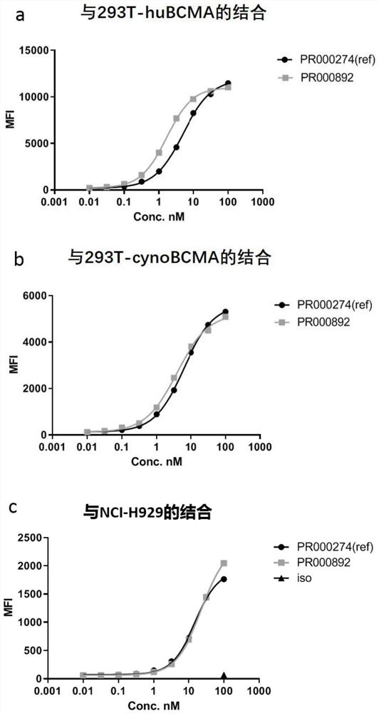 A kind of bcma binding protein and its preparation method and application