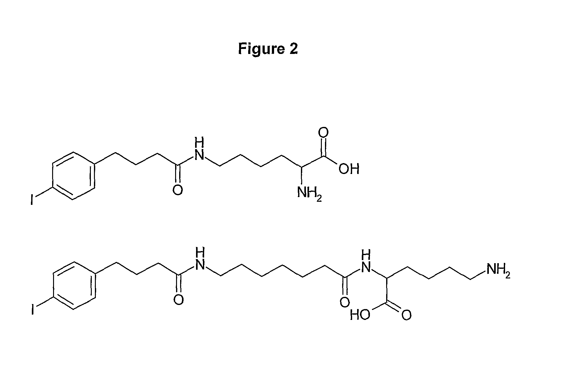 Albumin binding molecules and uses thereof