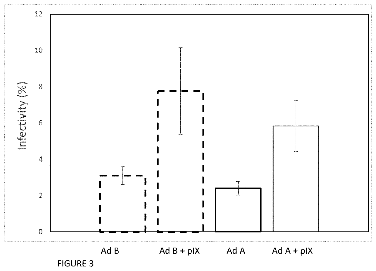 Adenoviral Polypeptide IX Increases Adenoviral Gene Therapy Vector Productivity and Infectivity