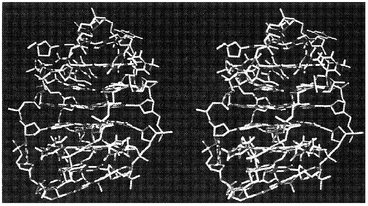 Porphyrin compounds as telomerase inhibitors