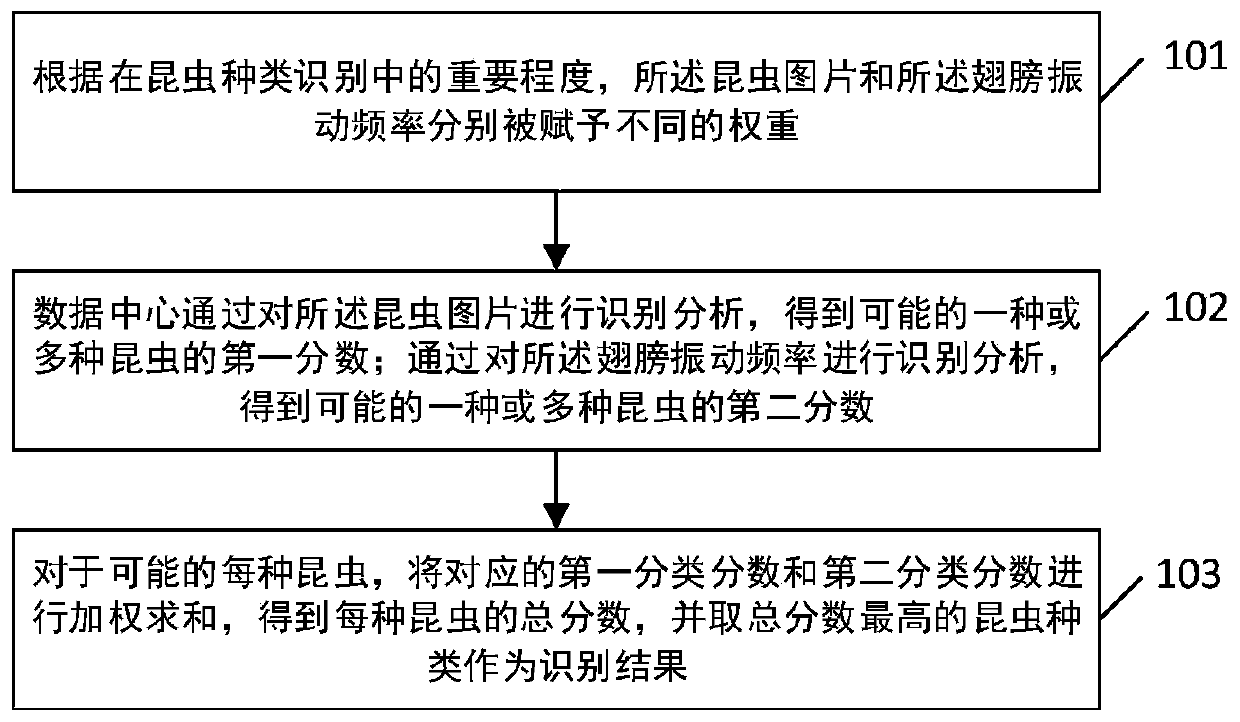 A pest identification early warning method and device based on multiple characteristics