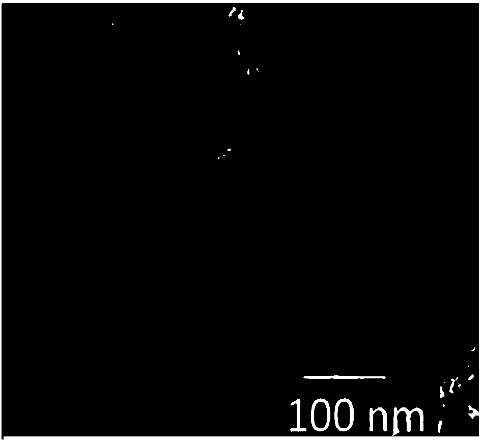 Preparation method and application of three-dimensional multicolor CQDs@MeOOH anti-infrared nanometer functional material