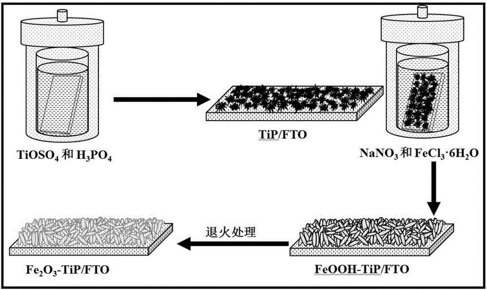 Titanium-phosphorus-codoped ferric oxide photoelectrode and preparation method thereof